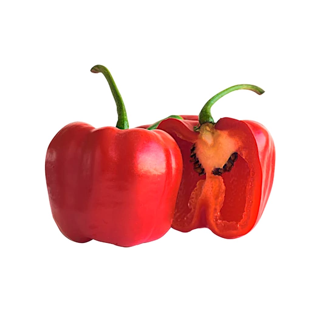 AJI ROCOTO