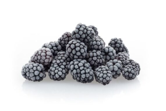 BLACKBERRY CONGELADO