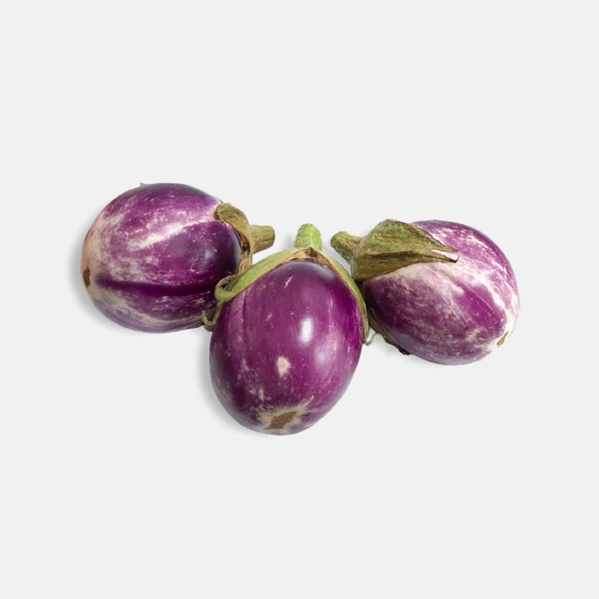 BERENJENA ITALIANA