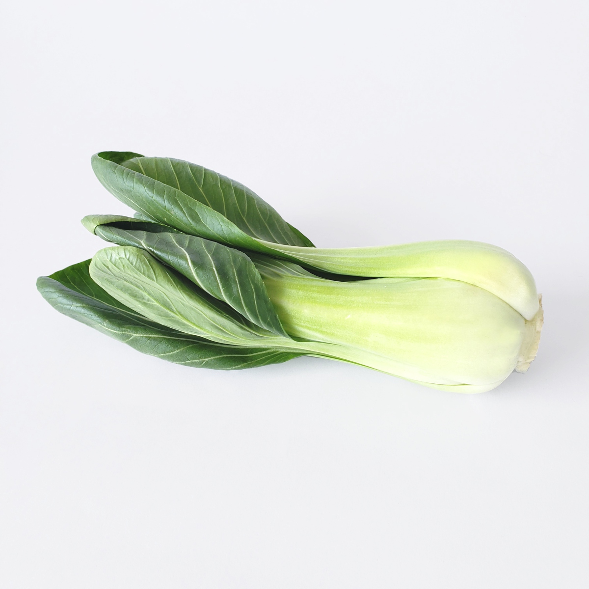 PACK CHOY