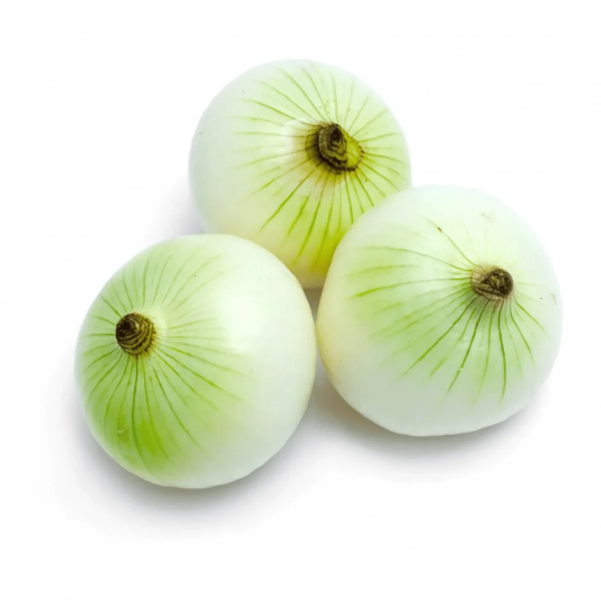 CEBOLLA CABEZONA BLANCA