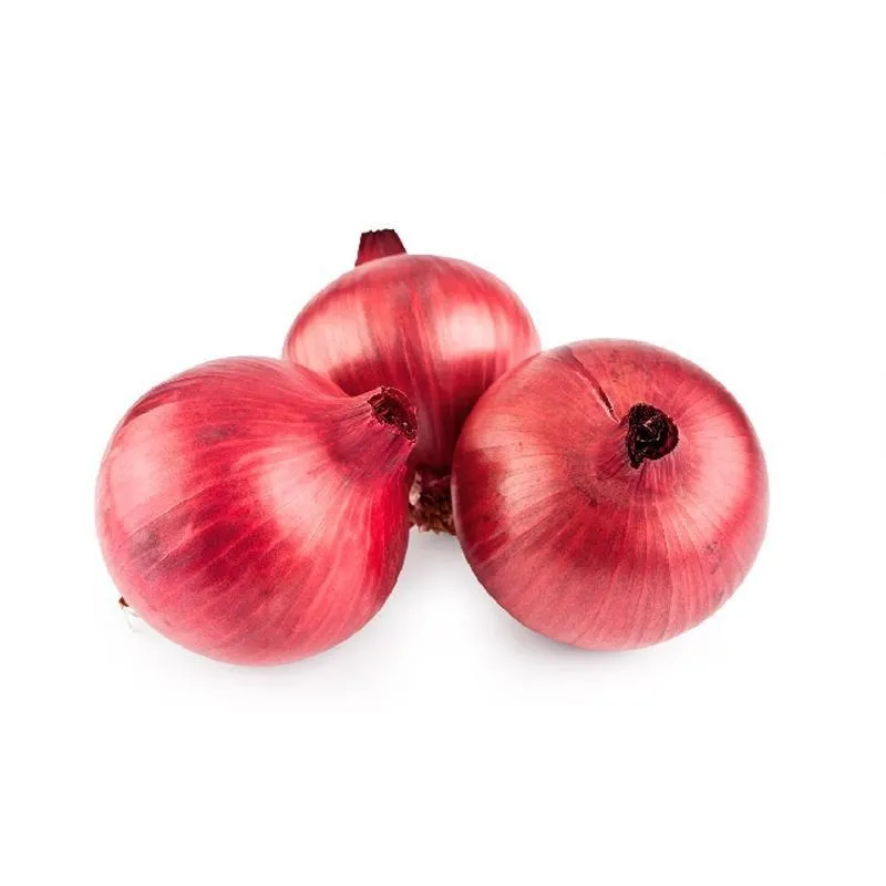 CEBOLLA ROJA