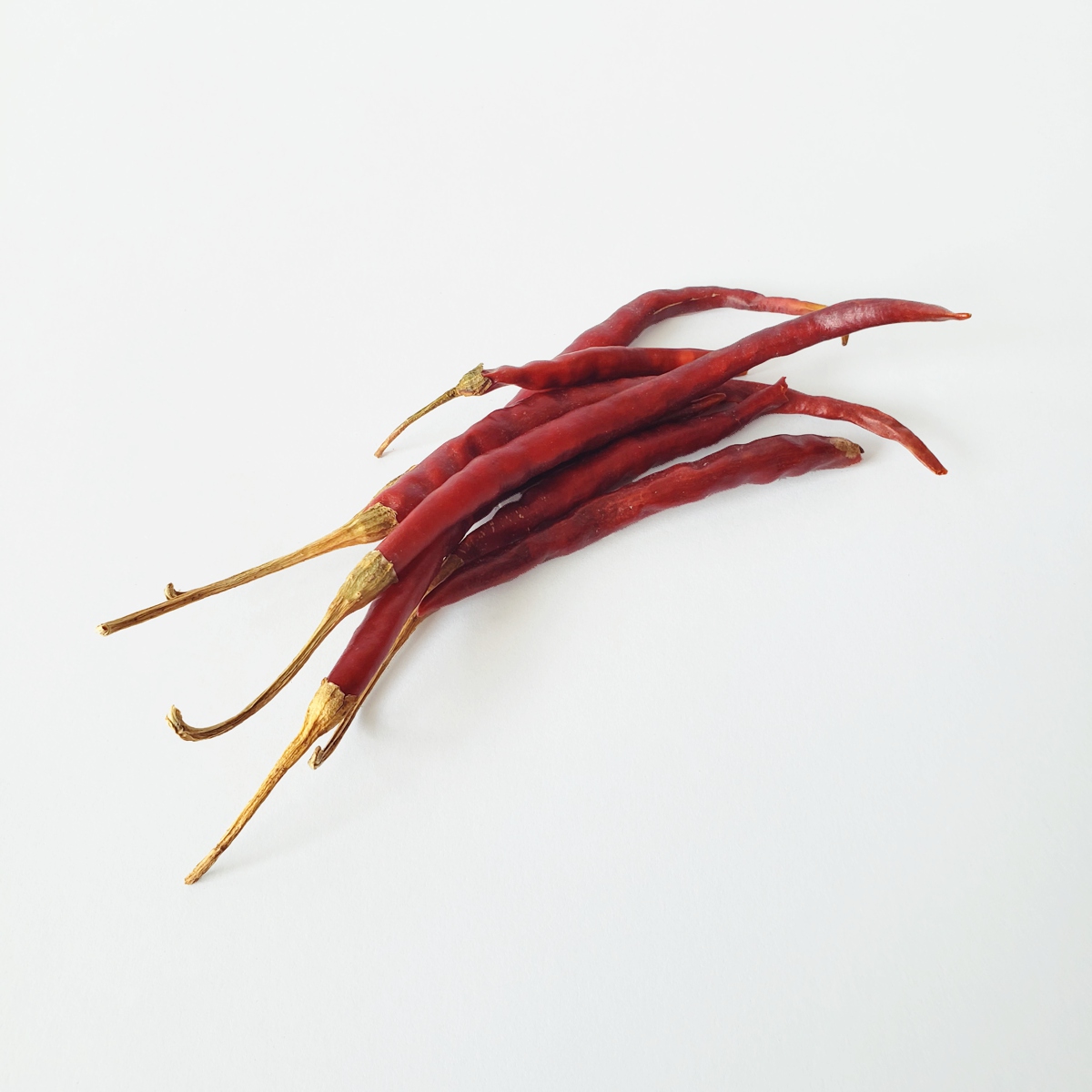 CHILE DE ARBOL