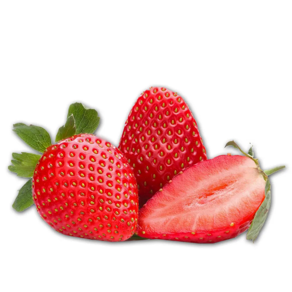 FRESA