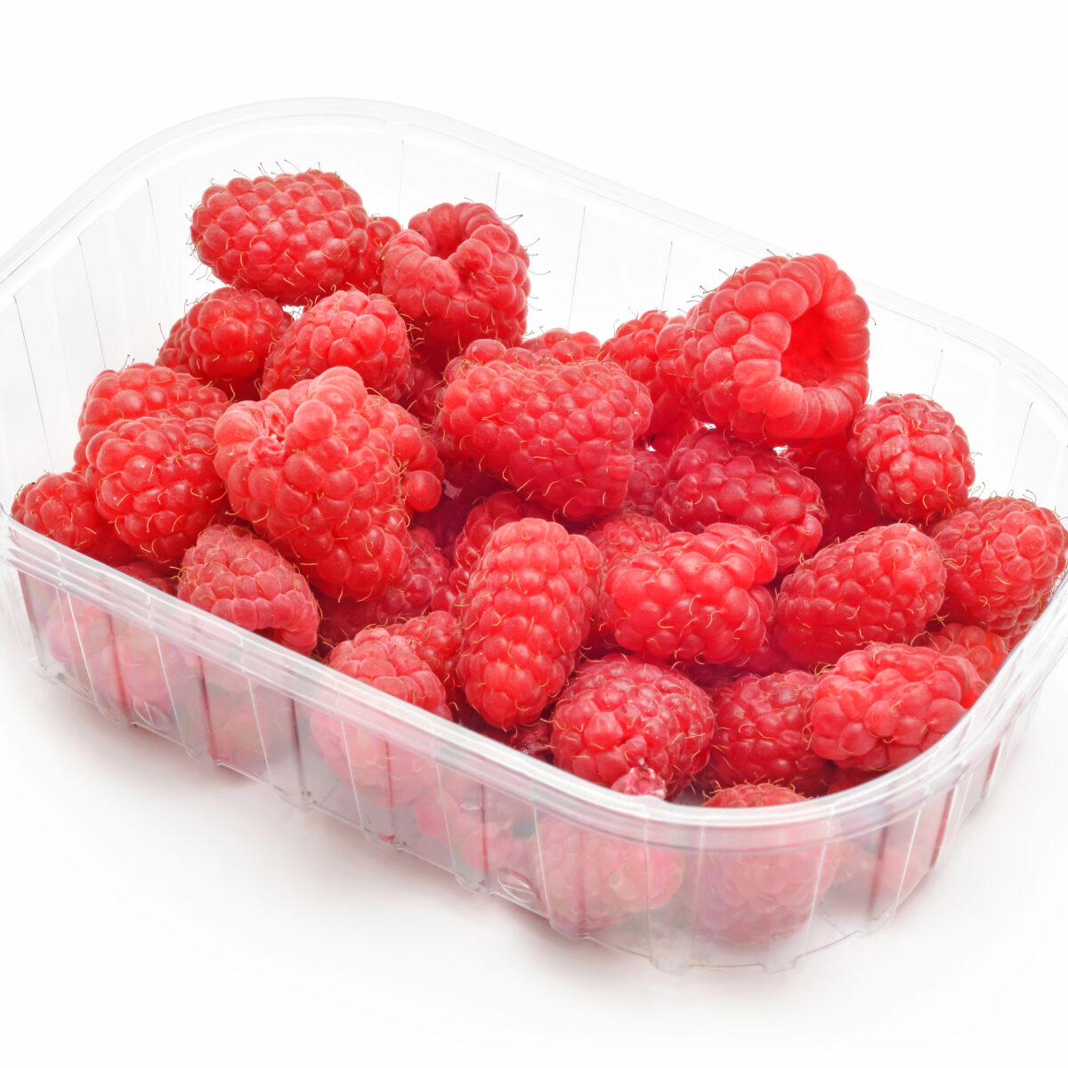 FRAMBUESA