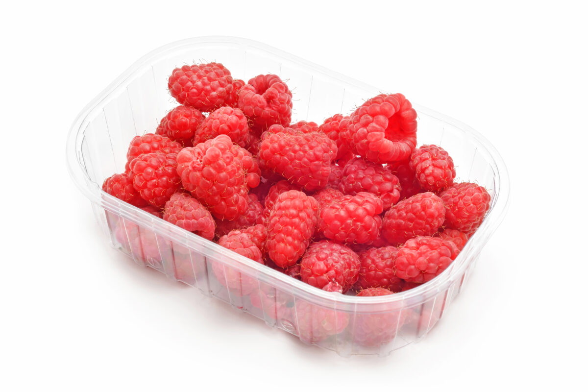 FRAMBUESA