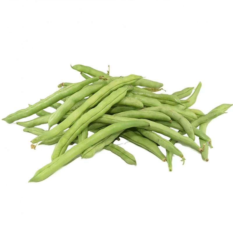 HABICHUELA