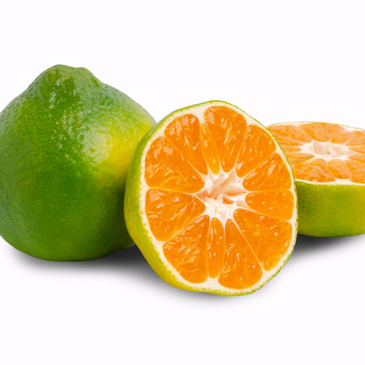 LIMON MANDARINO