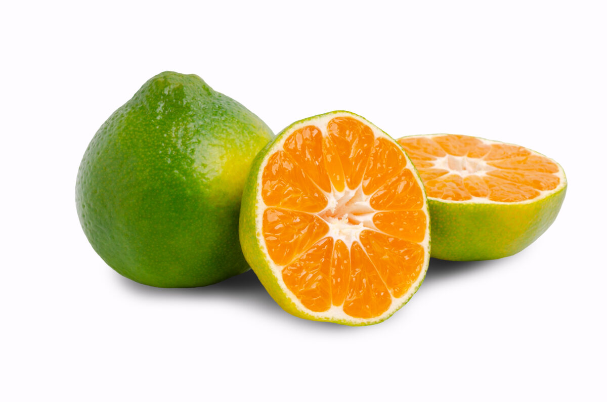 LIMON MANDARINO