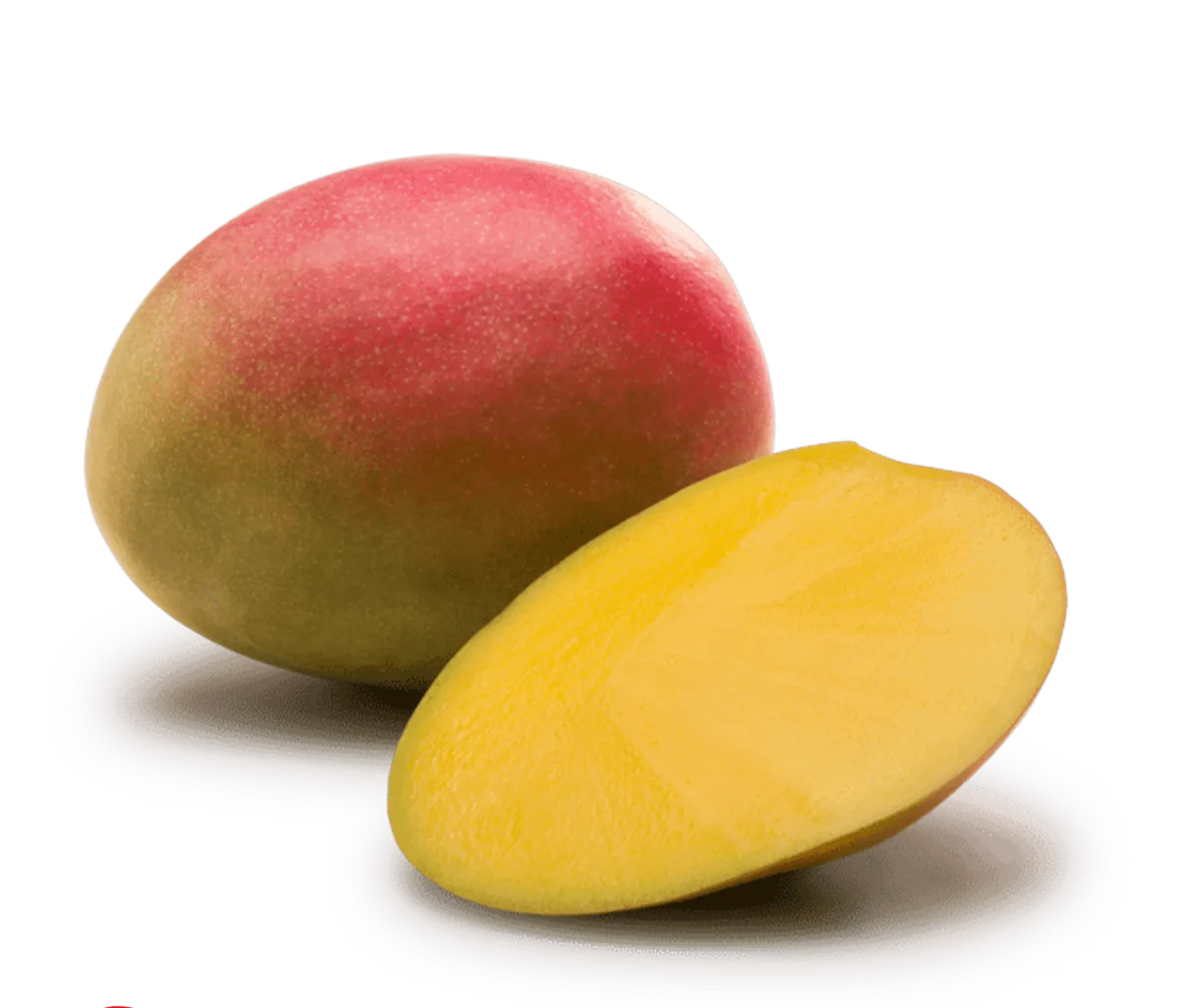 MANGO TOMMY