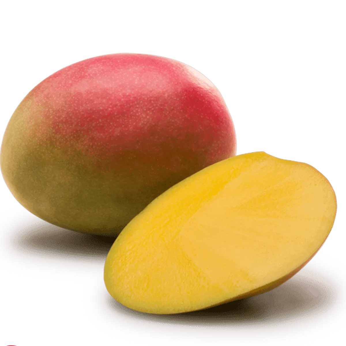 MANGO TOMMY