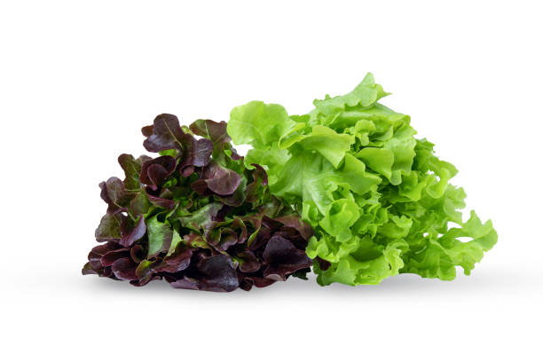 MIX SALANOVAS