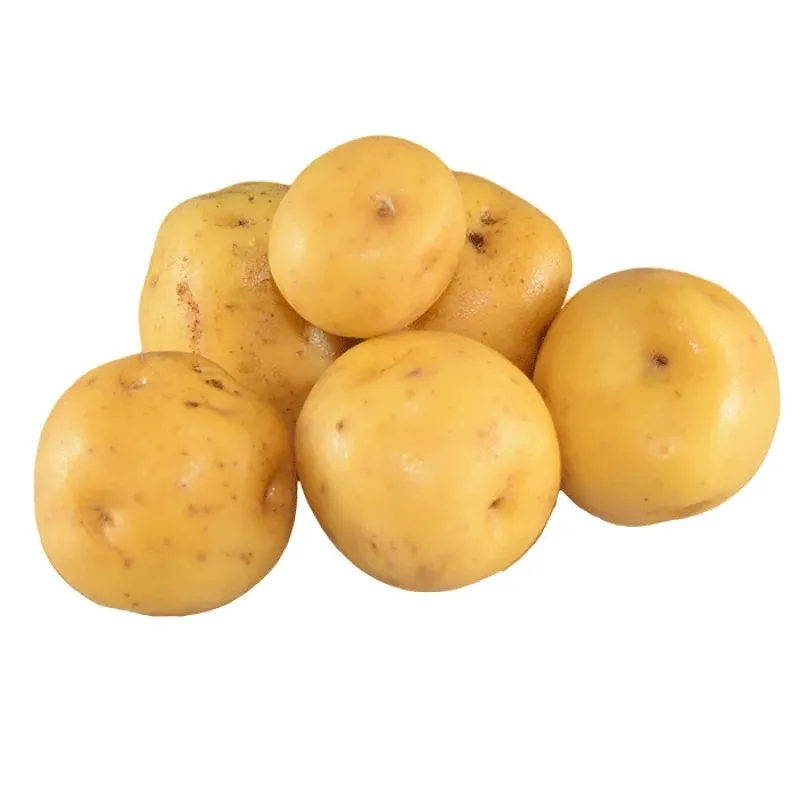 PAPA CRIOLLA