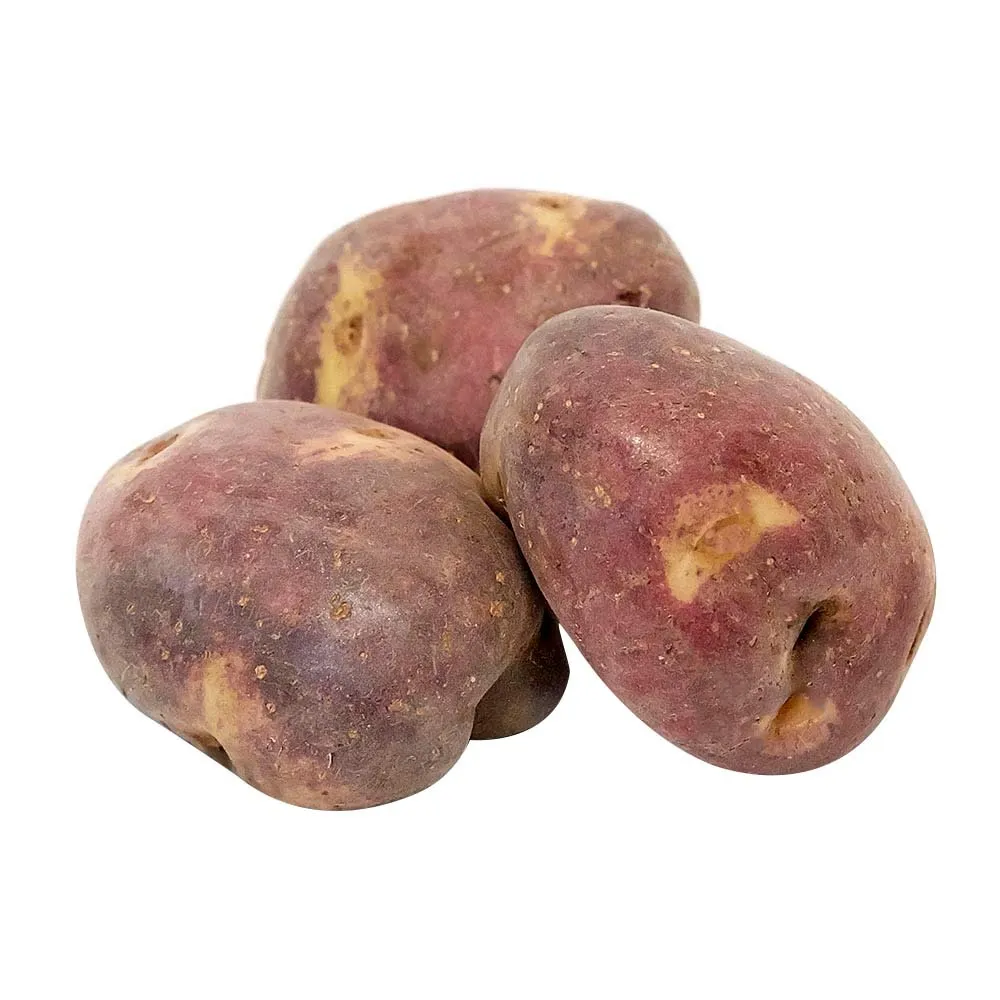 PAPA SABANERA