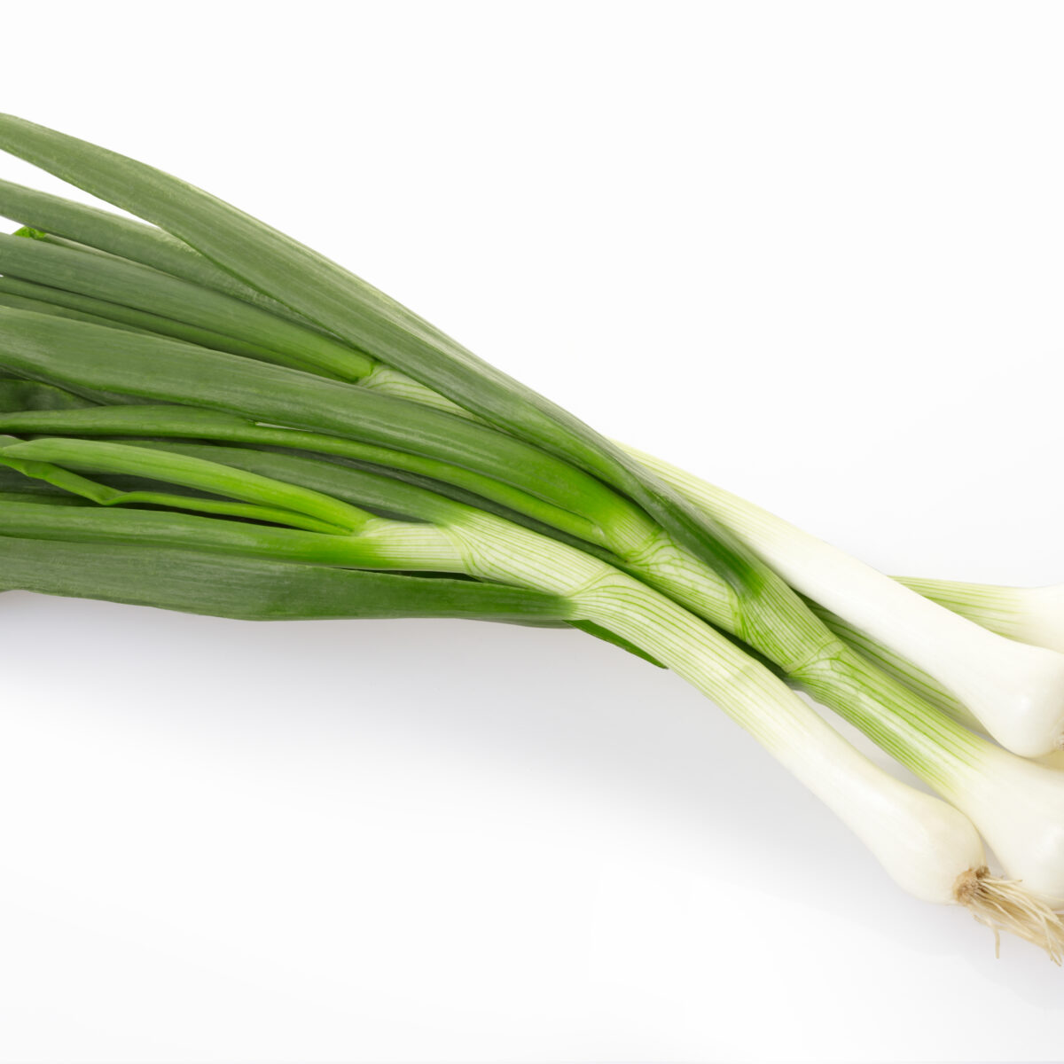 SPRING ONION