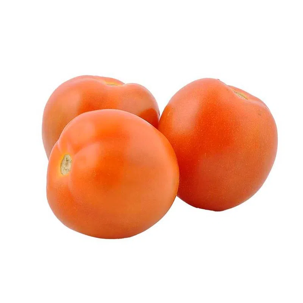 TOMATE CHONTO
