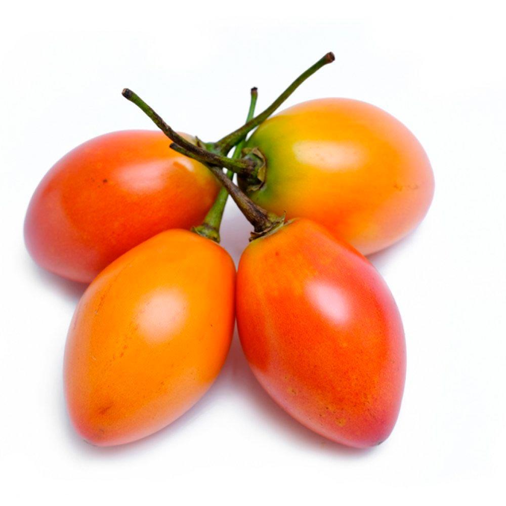 TOMATE ARBOL