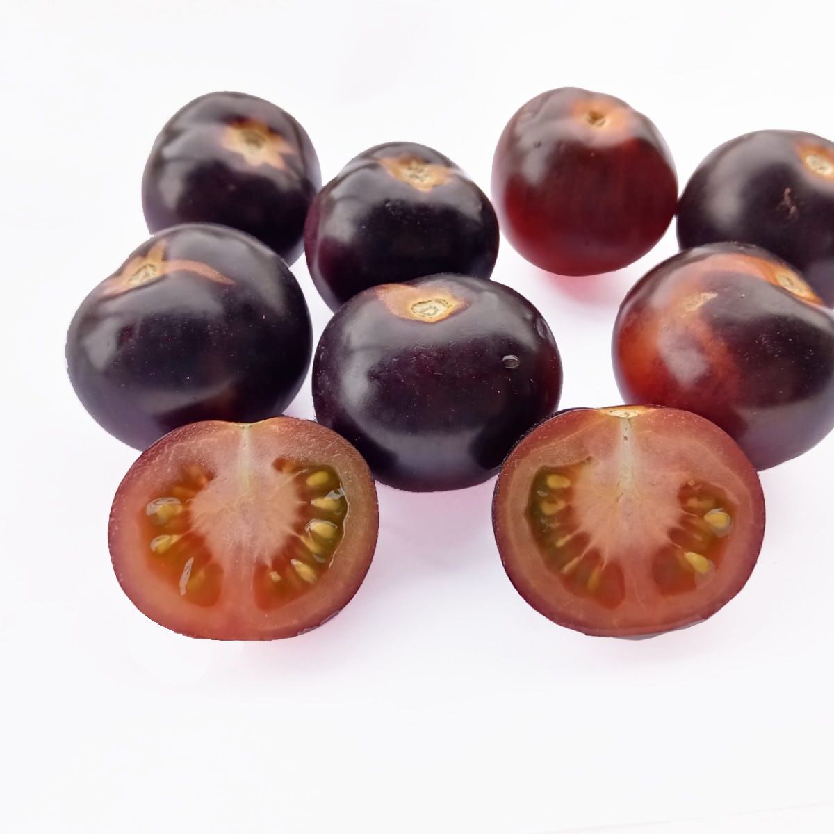TOMATE INDIGO