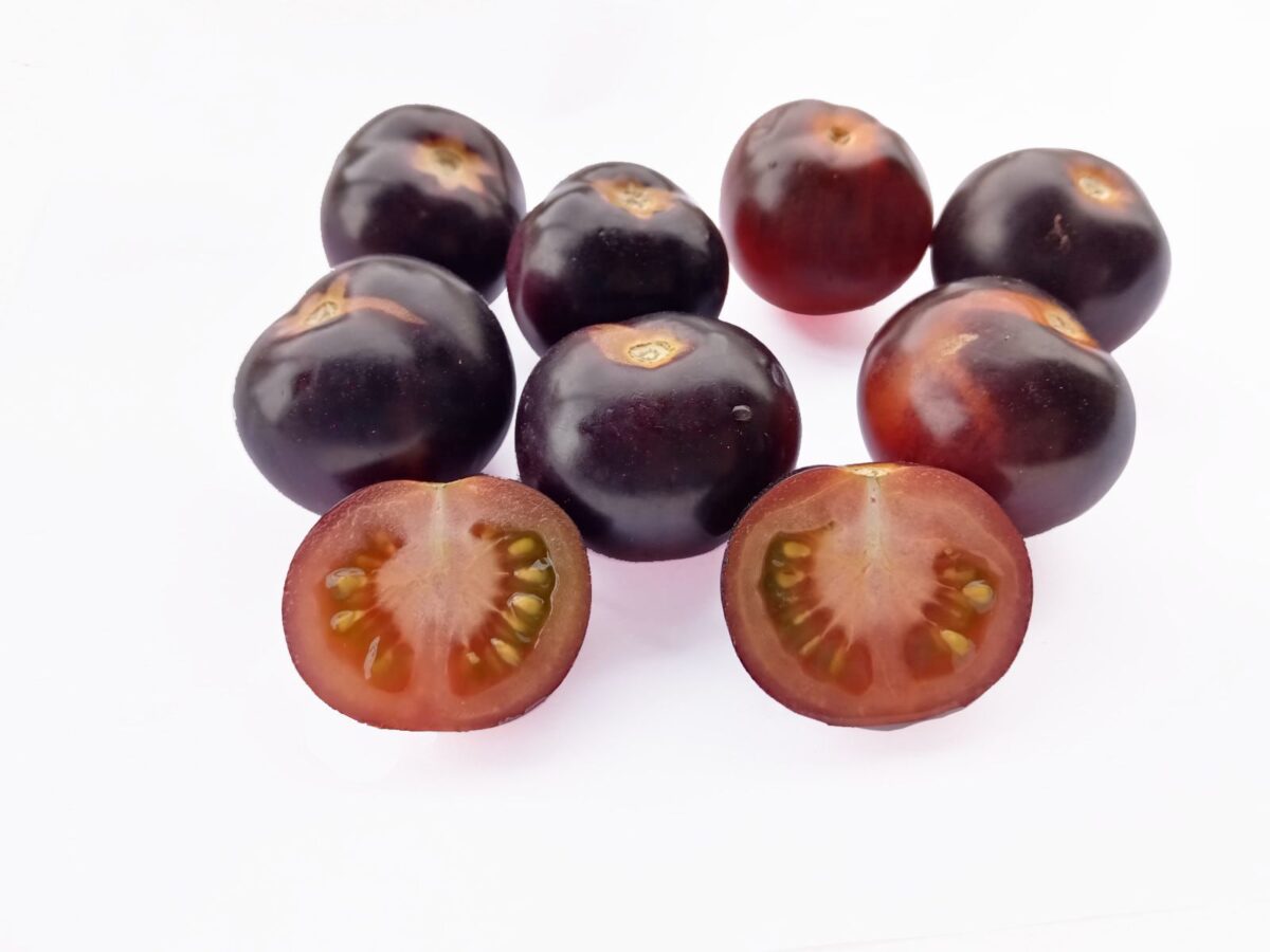 TOMATE INDIGO