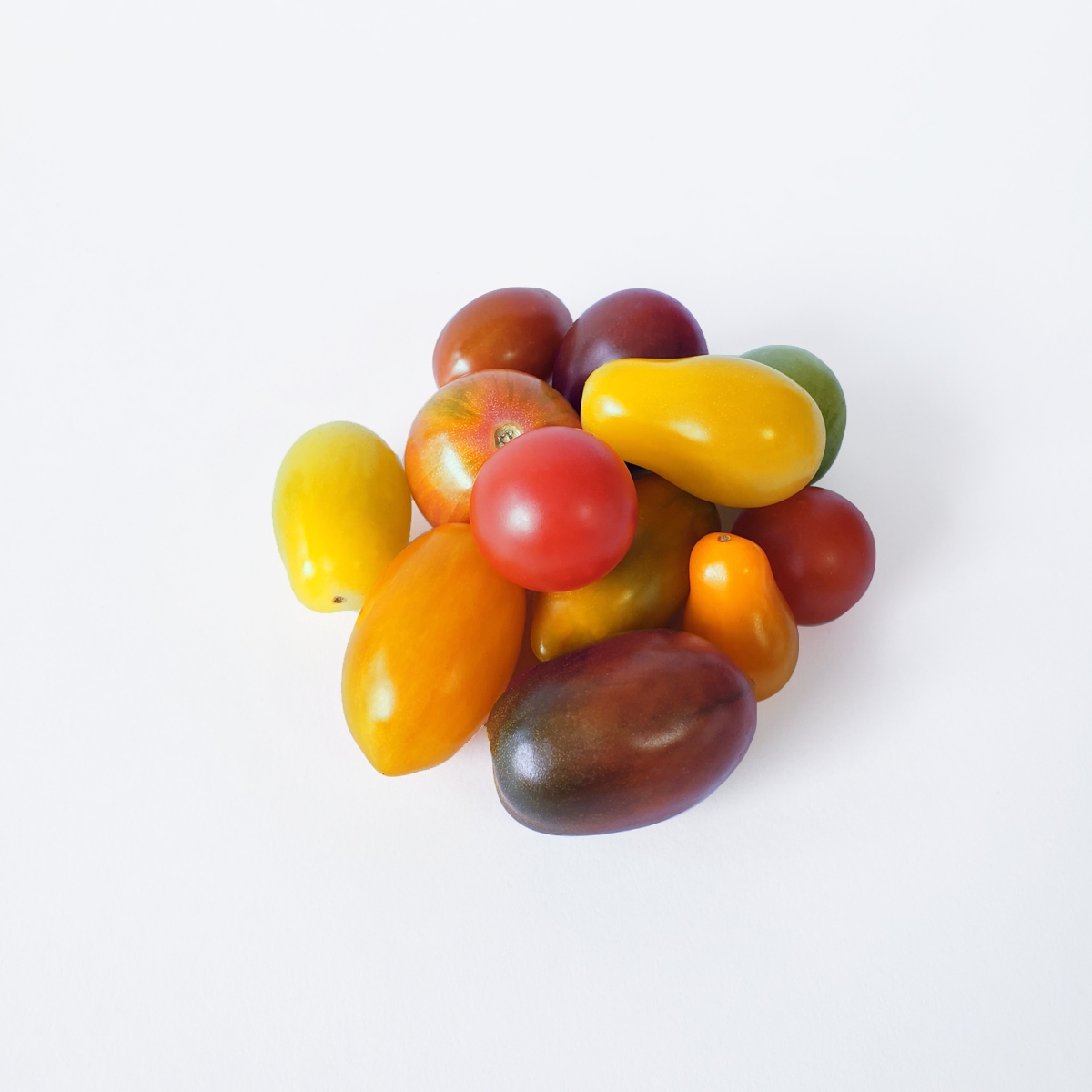 TOMATE GRAPE Y CHERRY DE COLORES
