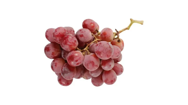 UVAS MORADA