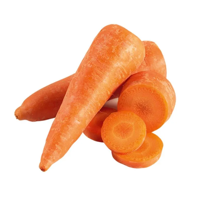 ZANAHORIA