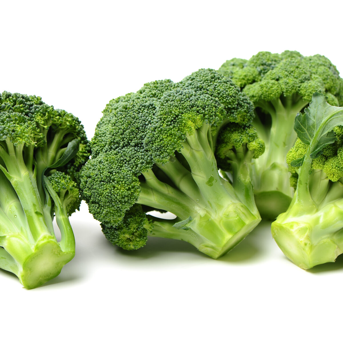 ARBOLES DE BROCOLI