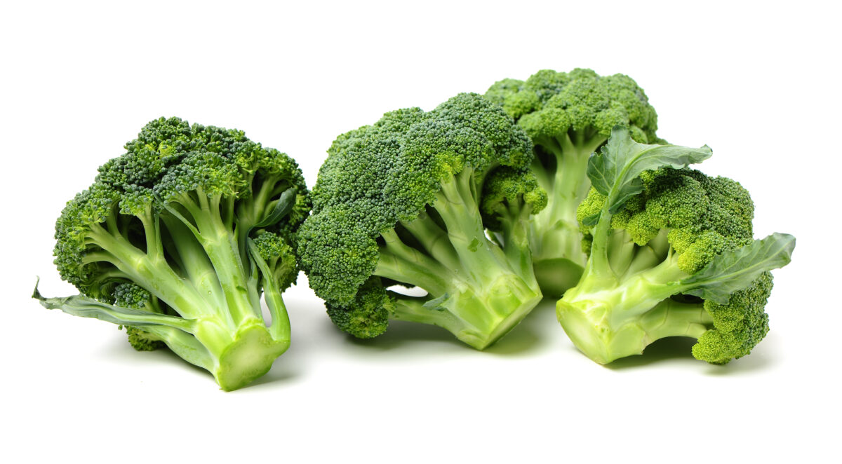 ARBOLES DE BROCOLI