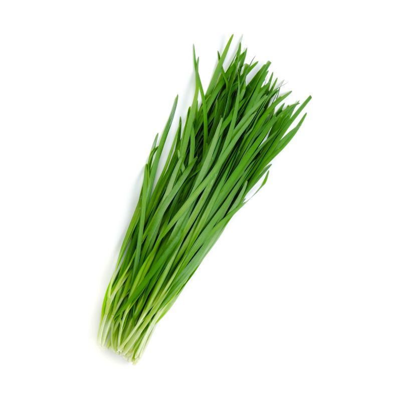 CEBOLLIN
