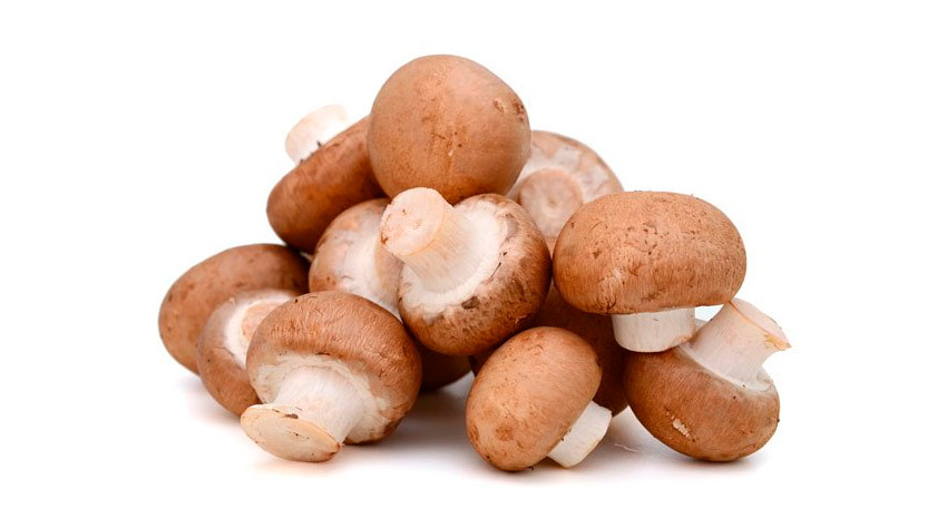 CHAMPIÑON PORTOBELLO