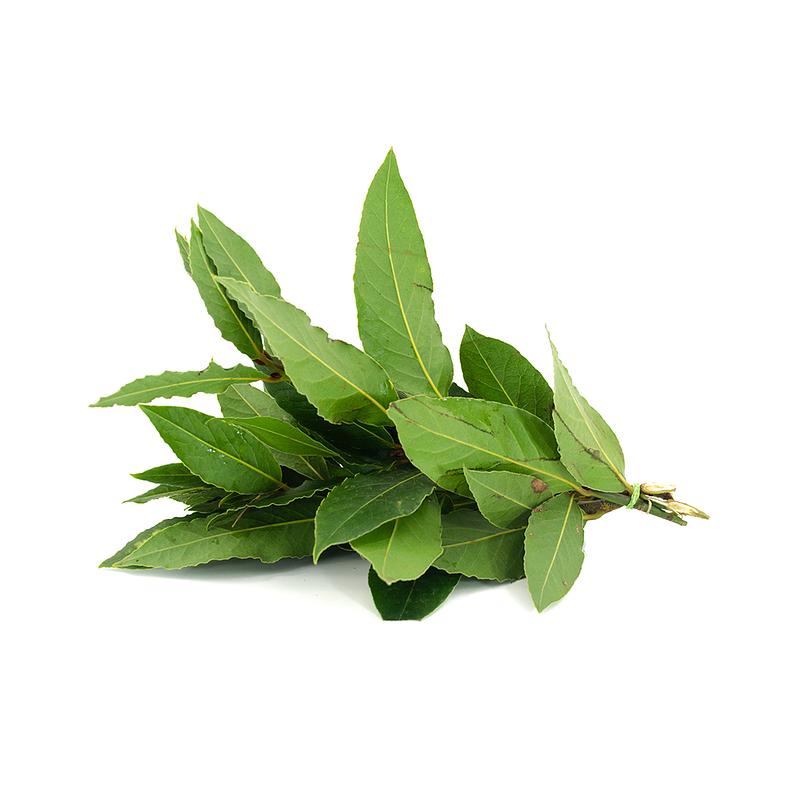 LAUREL