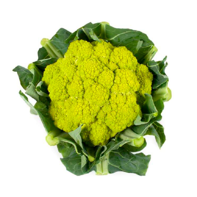 COLIFRLOR VERDE